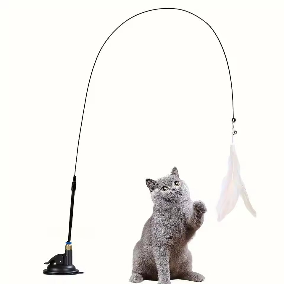 Jouet de pêche pour Chat