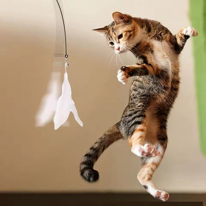 Jouet de pêche pour Chat