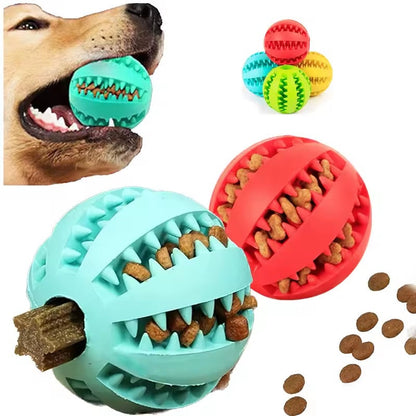 Boule à macher pour chien